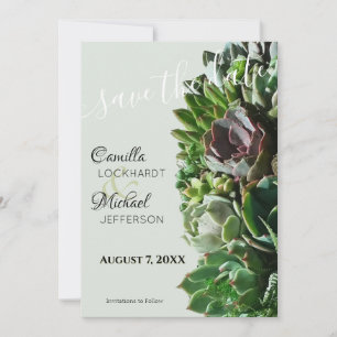 Grüne Sukkulente Hochzeit Speichern Sie das Datum  Save The Date