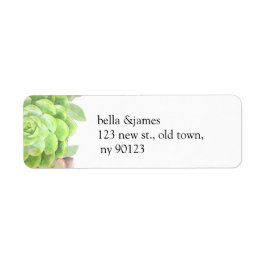 Grüne Sukkulente Hochzeitsplatten