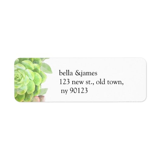 Grüne Sukkulente Hochzeitsplatten (Vorne)