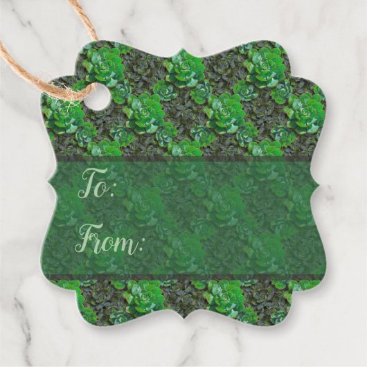 Grüne Sukkulente Lattice Muster Geschenktasten Geschenkanhänger (Vorderseite)