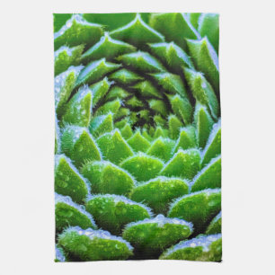 Grüne Sukkulente Naturfotografie Teetuch Geschirrtuch