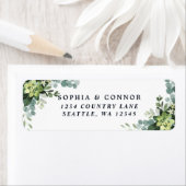 Grüne sukkulente Rücksendeadresse (Insitu)