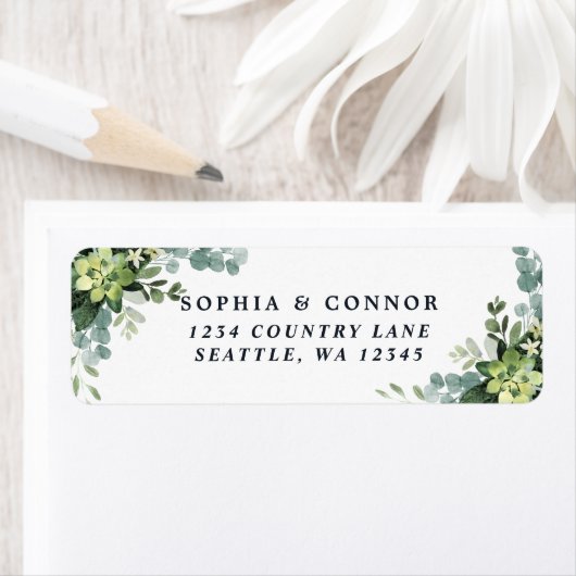 Grüne sukkulente Rücksendeadresse (Insitu)