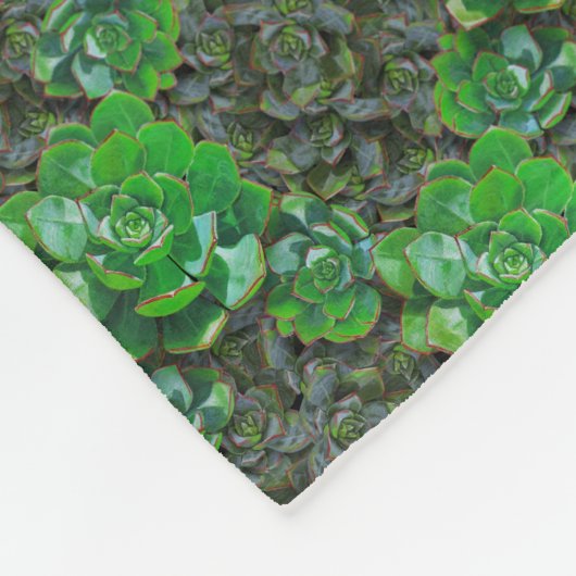 Grüne Sukkulenten Gittermuster Fleece Blanket (Ecke)