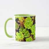 Grüne Sukkulentenblüten Tasse (Links)