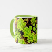 Grüne Sukkulentenblüten Tasse (Vorderseite Links)