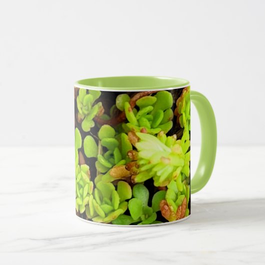 Grüne Sukkulentenblüten Tasse (VorderseiteRechts)