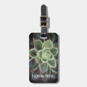 Grüne Sukkulentfarben Gepäckanhänger (Vorderseite vertikal)