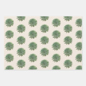 Grüne Sukkulentwüste Botanisch Geschenkpapier Set (Vorderseite 3)