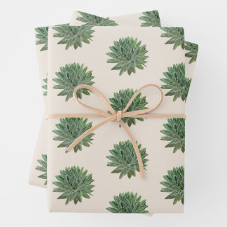 Grüne Sukkulentwüste Botanisch Geschenkpapier Set