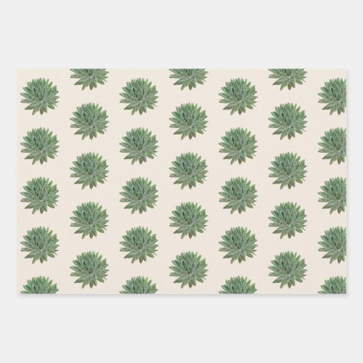 Grüne Sukkulentwüste Botanisch Geschenkpapier Set (Vorderseite)