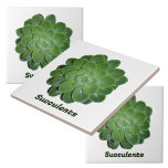Grüne Sukkuline fotografische natürliche botanisch Fliese<br><div class="desc">Botanische Fliesen,  von der Natur entworfen!,  mit einer näheren fotografischen grünen Echeveria sukkulente Pflanze. Natürlich schöne Fliesen für den Backslash,  Akzente Kacheln,  Kunsthandwerk und Hauspflanzen oder Gartenbau. Der Text ist anpassbar oder kann gelöscht werden. Dieses Bild ist eine originelle botanische Fotografie von JLW_FOTOGRAFIE.</div>