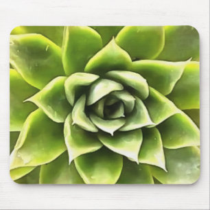 Grüne Sukkuline Nahe Kakteen Art Mousepad