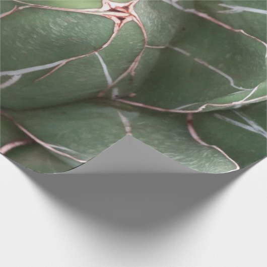 Grüne Sukkulnet-Pflanze Matte Wrapping Paper Geschenkpapier (Ecke)