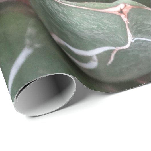 Grüne Sukkulnet-Pflanze Matte Wrapping Paper Geschenkpapier (Rolleneckpunkt)