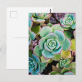 Grüne Sukkulturen mit roten Konturen Postkarte (Vorne/Hinten)