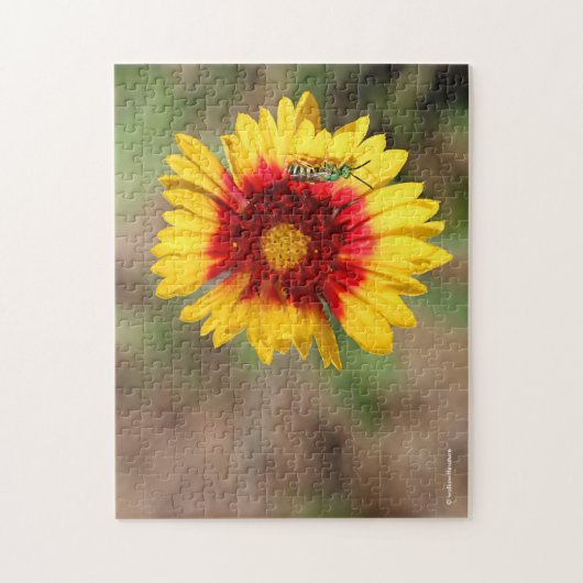 Grüne Sweat Bee Pollinating Wilde Blanketblume Puzzle (Vertikal)