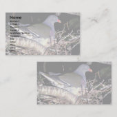 Grüne Taube Visitenkarte (Vorne/Hinten)