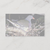 Grüne Taube Visitenkarte (Rückseite)