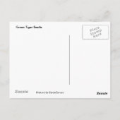 Grüne Tigerkäfer Postkarte (Rückseite)