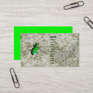 Grüne Tigerkäfer-Visitenkarten Visitenkarte