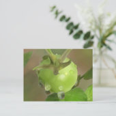 Grüne Tomate Postkarte (Stehend Vorderseite)