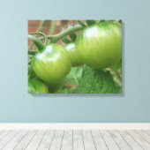 Grüne Tomaten Canvas Print Leinwanddruck (Insitu (Holzboden))