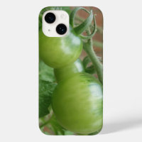 Grüne Tomaten
