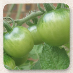 Grüne Tomaten Cork Untersetzer