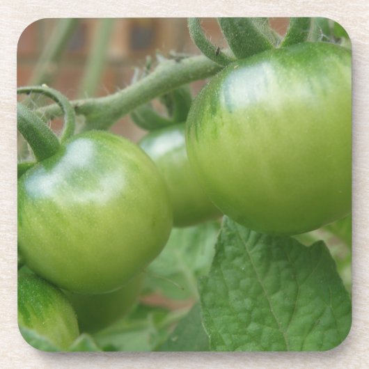 Grüne Tomaten Cork Untersetzer (Vorderseite)