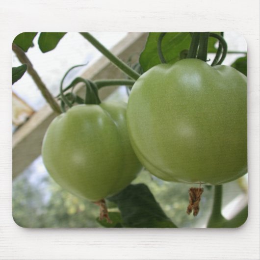 Grüne Tomaten Mousepad (Vorne)