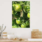 Grüne Tomaten Poster (Küche)