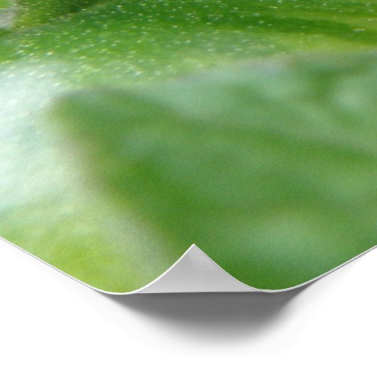 Grüne Tomaten Poster (Ecke)