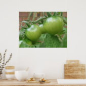 Grüne Tomaten Poster (Küche)
