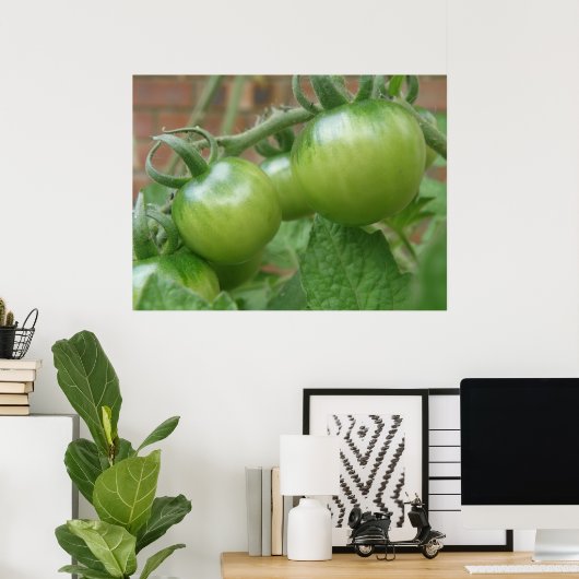 Grüne Tomaten Poster (Heimbüro)