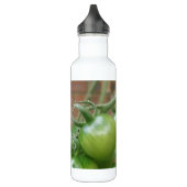 Grüne Tomaten Trinkflasche (Links)