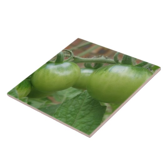 Grüne Tomatenstrasse Fliese (Seite)