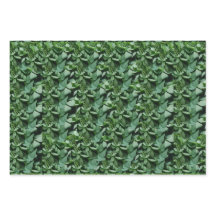 Grüne Tora Blätter Botanisch