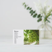 Grüne Trauben auf der Rebe Visitenkarte (Stehend Vorderseite)