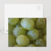 Grüne Trauben Postkarte (Vorne/Hinten)