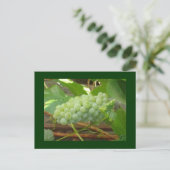 grüne Trauben Postkarte (Stehend Vorderseite)