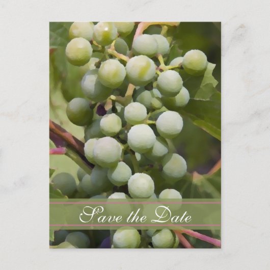 Grüne Trauben Weinberg Hochzeit retten Datum Ankündigungspostkarte (Vorderseite)