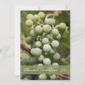 Grüne Traubenplantage Einladung (Vorderseite)