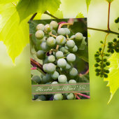 Grüne Traubenplantage Einladung