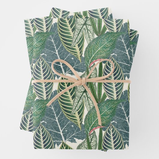 Grüne tropische Blätter (Beispiel)