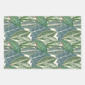 Grüne tropische Blätter (Vorderseite 2)