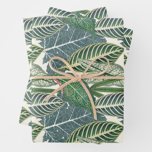 Grüne tropische Blätter (Beispiel)