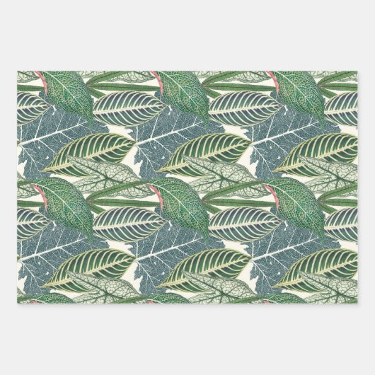 Grüne tropische Blätter (Vorderseite)