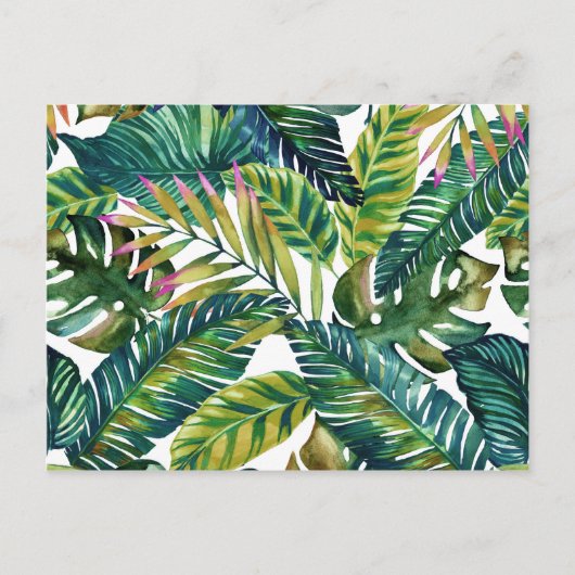 Grüne tropische Blätter auf Postkarte (Vorderseite)