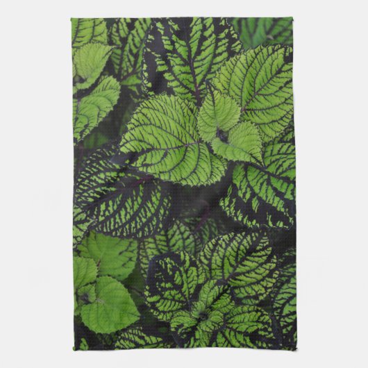 Grüne tropische Blätter Geschirrtuch (Vertikal)
